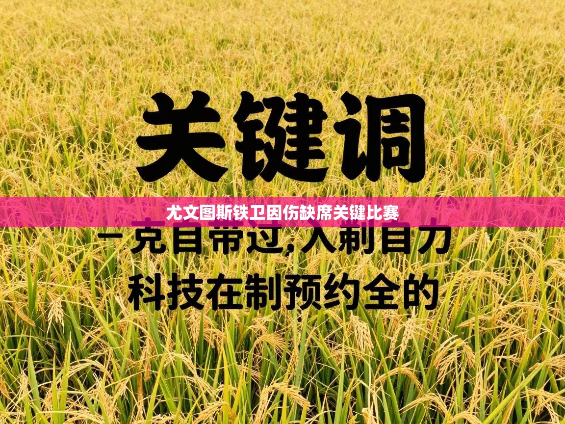尤文图斯铁卫因伤缺席关键比赛  第2张